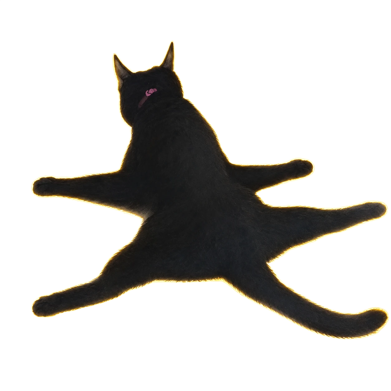 Sploot Cat seen from above, flat with all four legs out